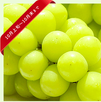 シャインマスカット